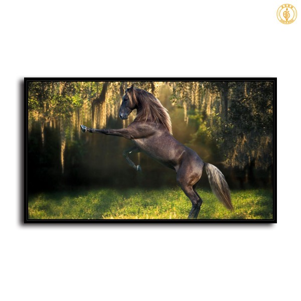HD Canvas Print Home Decor Paintings Wall Art Pictures-SR107161