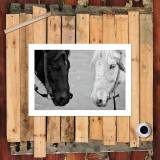 HD Canvas Print Home Decor Paintings Wall Art Pictures-SR120096