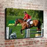 HD Canvas Print Home Decor Paintings Wall Art Pictures-SR101057