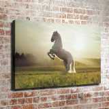 HD Canvas Print Home Decor Paintings Wall Art Pictures-SR101831