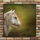 HD Canvas Print Home Decor Paintings Wall Art Pictures-SR111898