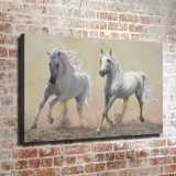 HD Canvas Print Home Decor Paintings Wall Art Pictures-SR108702