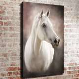 HD Canvas Print Home Decor Paintings Wall Art Pictures-SR108215