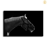 HD Canvas Print Home Decor Paintings Wall Art Pictures-SR120151
