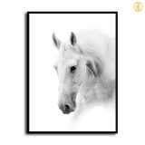 HD Canvas Print Home Decor Paintings Wall Art Pictures-SR119275