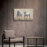 HD Canvas Print Home Decor Paintings Wall Art Pictures-SR108702