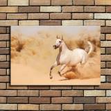 HD Canvas Print Home Decor Paintings Wall Art Pictures-SR107663