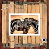 HD Canvas Print Home Decor Paintings Wall Art Pictures-SR107662