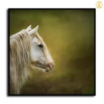 HD Canvas Print Home Decor Paintings Wall Art Pictures-SR111898