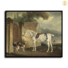 HD Canvas Print Home Decor Paintings Wall Art Pictures-SR106785
