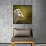 HD Canvas Print Home Decor Paintings Wall Art Pictures-SR111898