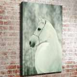 HD Canvas Print Home Decor Paintings Wall Art Pictures-SR119277