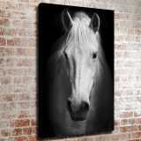 HD Canvas Print Home Decor Paintings Wall Art Pictures-SR119273