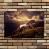 HD Canvas Print Home Decor Paintings Wall Art Pictures-SR101054