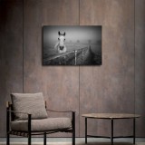 HD Canvas Print Home Decor Paintings Wall Art Pictures-SR120118