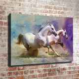 HD Canvas Print Home Decor Paintings Wall Art Pictures-SR108669