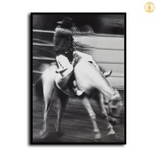 HD Canvas Print Home Decor Paintings Wall Art Pictures-SR119929