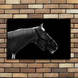 HD Canvas Print Home Decor Paintings Wall Art Pictures-SR120151