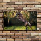 HD Canvas Print Home Decor Paintings Wall Art Pictures-SR107161