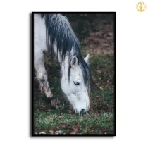 HD Canvas Print Home Decor Paintings Wall Art Pictures-SR110549