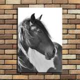HD Canvas Print Home Decor Paintings Wall Art Pictures-SR110100
