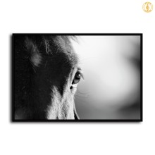 HD Canvas Print Home Decor Paintings Wall Art Pictures-SR120159