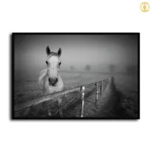 HD Canvas Print Home Decor Paintings Wall Art Pictures-SR120118