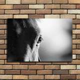 HD Canvas Print Home Decor Paintings Wall Art Pictures-SR120159
