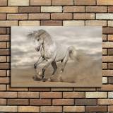 HD Canvas Print Home Decor Paintings Wall Art Pictures-SR101059