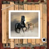 HD Canvas Print Home Decor Paintings Wall Art Pictures-SR100582