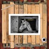HD Canvas Print Home Decor Paintings Wall Art Pictures-SR105017