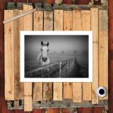 HD Canvas Print Home Decor Paintings Wall Art Pictures-SR120118