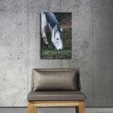 HD Canvas Print Home Decor Paintings Wall Art Pictures-SR110549