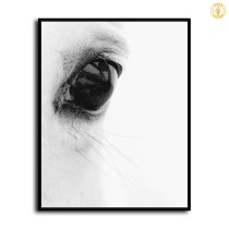 HD Canvas Print Home Decor Paintings Wall Art Pictures-SR111608
