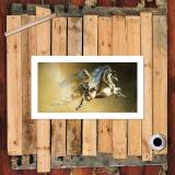 HD Canvas Print Home Decor Paintings Wall Art Pictures-SR108802