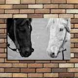 HD Canvas Print Home Decor Paintings Wall Art Pictures-SR120096
