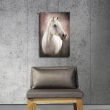 HD Canvas Print Home Decor Paintings Wall Art Pictures-SR108215