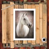HD Canvas Print Home Decor Paintings Wall Art Pictures-SR108215