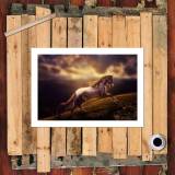 HD Canvas Print Home Decor Paintings Wall Art Pictures-SR101054