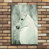 HD Canvas Print Home Decor Paintings Wall Art Pictures-SR119277