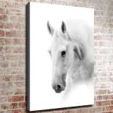 HD Canvas Print Home Decor Paintings Wall Art Pictures-SR119275