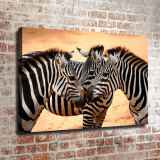HD Canvas Print Home Decor Paintings Wall Art Pictures-SR107662