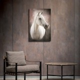 HD Canvas Print Home Decor Paintings Wall Art Pictures-SR108215