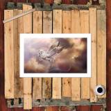 HD Canvas Print Home Decor Paintings Wall Art Pictures-SR107111