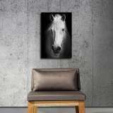 HD Canvas Print Home Decor Paintings Wall Art Pictures-SR119273