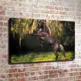 HD Canvas Print Home Decor Paintings Wall Art Pictures-SR107161