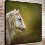 HD Canvas Print Home Decor Paintings Wall Art Pictures-SR111898