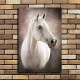 HD Canvas Print Home Decor Paintings Wall Art Pictures-SR108215