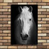HD Canvas Print Home Decor Paintings Wall Art Pictures-SR119273