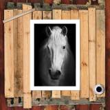HD Canvas Print Home Decor Paintings Wall Art Pictures-SR119273